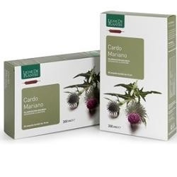 Cardo Mariano 20ab 15ml 6 Pezzi