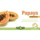 Erba Vita Papaya Fermentata 60 Capsule 6 Pezzi