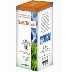 Gastrophit 500ml 6 Pezzi