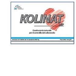 Kolinat Lnp 30 Capsule 6 Pezzi