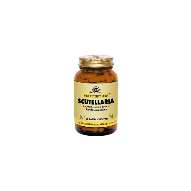 Solgar Scutellaria 50 Capsule Vegetali 6 Pezzi Solgar Scutellaria 50 Capsule Vegetali 6 Pezzi