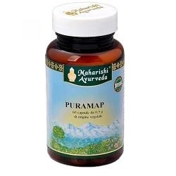 Puramap 60 Capsule 6 Pezzi