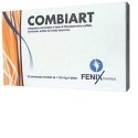 Combiart 30 Compresse Combiart 30 Compresse