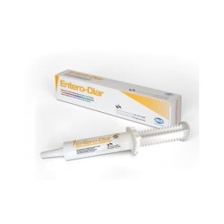 Slais Entero Diar Siringa Pasta Orale 30g