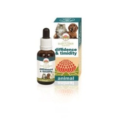 Australian Bush Flower Diffidence Timidity 30ml