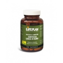 Lifeplan Corteccia Liscia Di Olmo 50 Capsule