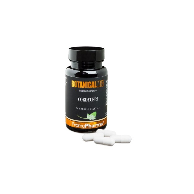 Cordyceps Botanical Mix 60 Capsule