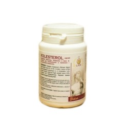 Elekea Kolesterol 40 Capsule