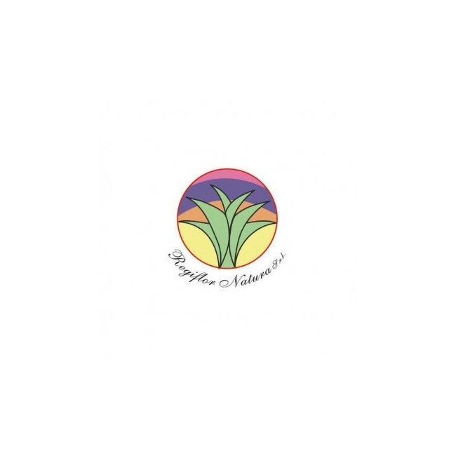 Regiflor Rn 19 Gocce 100ml