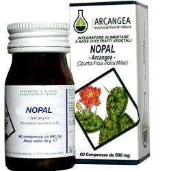 Arcangea Nopal 60 Capsule 500mg