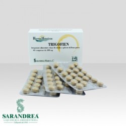 TRIGOFIEN 60 COMPRESSE 500 MG