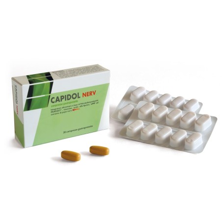 CAPIDOL NERV 20 COMPRESSE GASTROPROTETTE CAPIDOL NERV 20 COMPRESSE GASTROPROTETTE