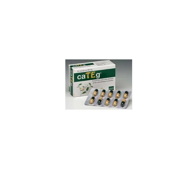 Categ Estratto The Verde 30 Capsule Categ Estratto The Verde 30 Capsule