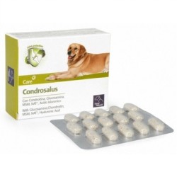 Orme naturali condrosalus 60 compresse