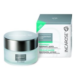 Incarose concentrato puri crema staminali antirughe 50 ml