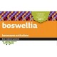 Boswellia virya 60 compresse da 500 mg