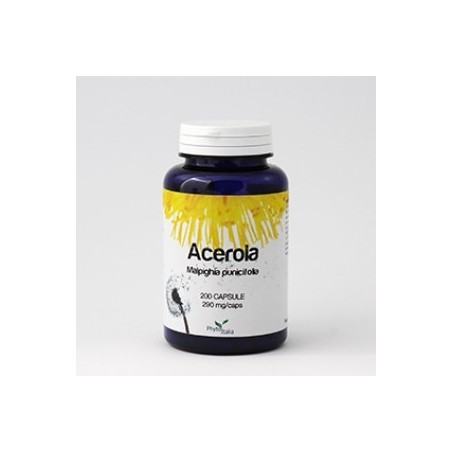 Phytoitalia Acerola 60 capsule integratore alimentare Phytoitalia Acerola 60 capsule integratore alimentare