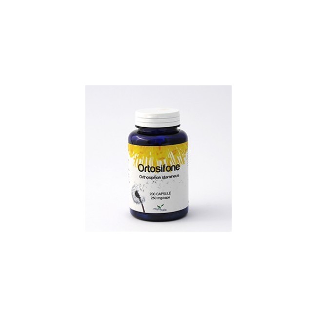 Phytoitalia ortosifone 60 capsule integratore alimentare Phytoitalia ortosifone 60 capsule integratore alimentare