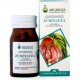 Arcangea Echinacea 60 capsule 500 mg