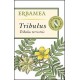 Erbamea Tribulus integratore alimentare 50 capsule vegetali