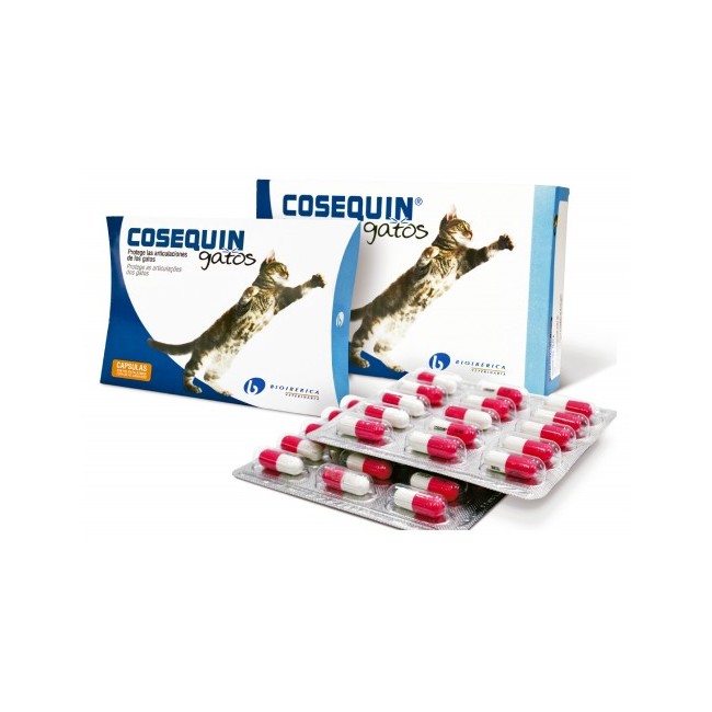 Nutramax Cosequin gatti 15 capsule mangime complementare