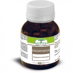 Renaco Italia Chagafungus 60 capsule integratore alimentare