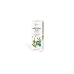 Caira piantaggine rosa macerato idroalcolico gocce fitoterapico 50 ml