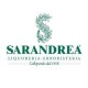 Sarandrea Salvia tintura madre 100 ml