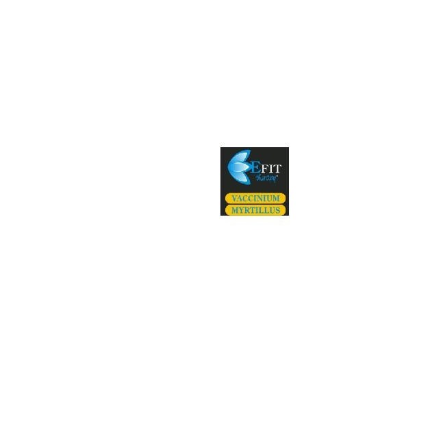 Vaccinium Myrt Estratto Fluido 30ml