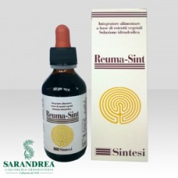 REUMA SINT GOCCE 100 ML