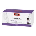 Swisse collagene integratore per la pelle 7 flaconcini da 30 ml Swisse collagene integratore per la pelle 7 flaconcini da 30 ml