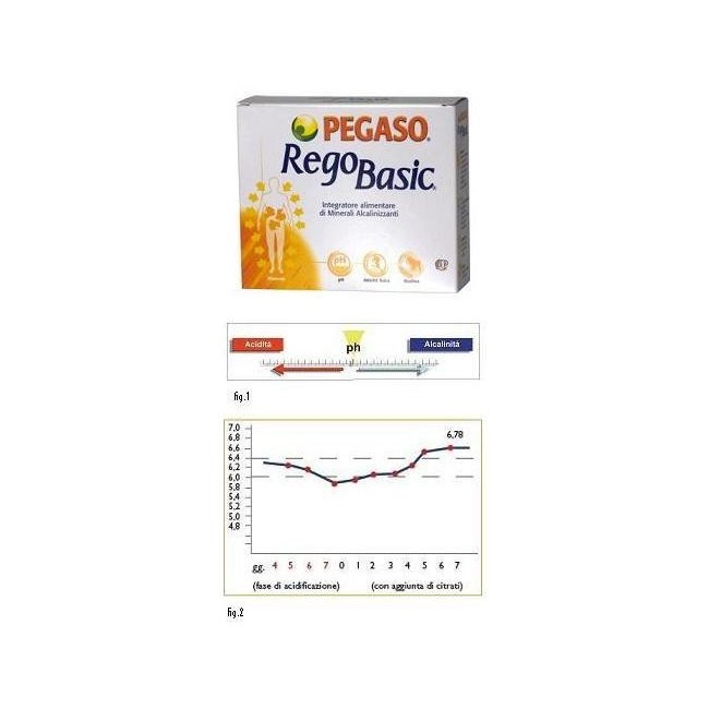 Regobasic 12 Buste Polvere