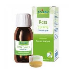 Boiron Rosa Canina Macerato Glicerico 60ml