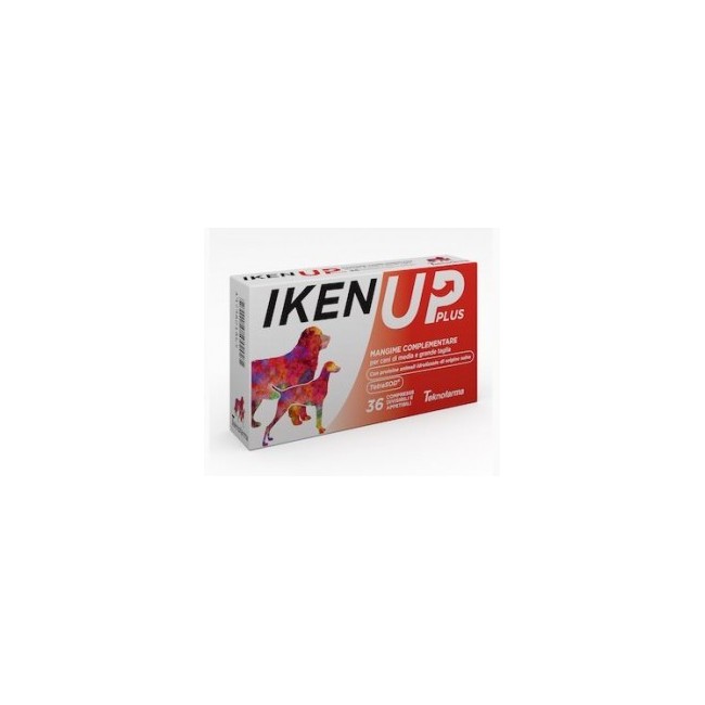 Iken Up plus