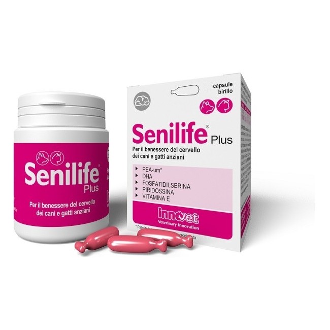 Innovet italia Senilife plus mangime complementare 30 capsule Innovet italia Senilife plus mangime complementare 30 capsule