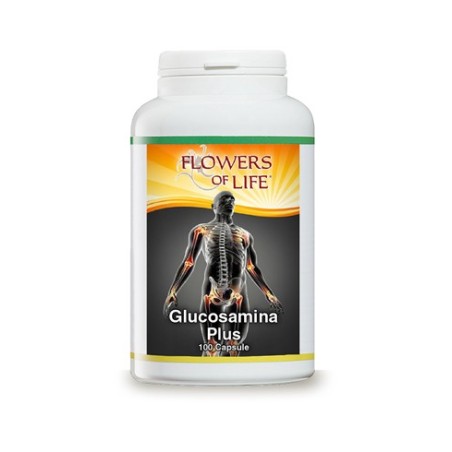 Glucosamina plus 100 capsule flowers of life Glucosamina plus 100 capsule flowers of life