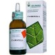 Arcangea Clorofilla soluzione idroalcolica gocce 50 ml