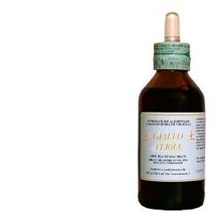 Arcangea Giallo terra soluzione idroalcolica gocce 100ml