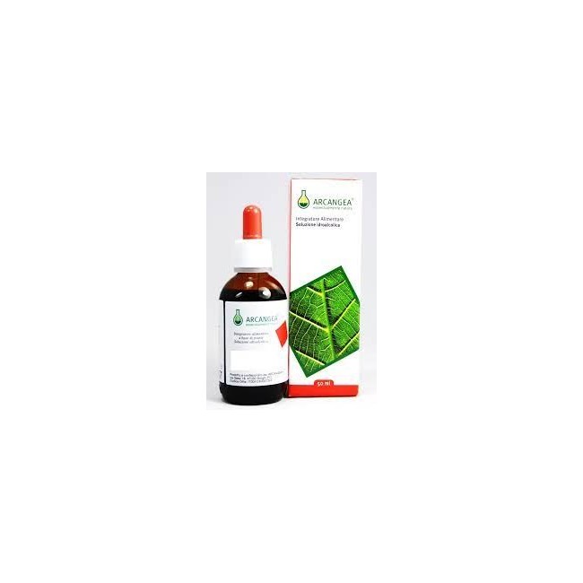 Arcangea Eleuterococco soluzione idroalcolica gocce 50ml