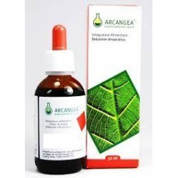 Arcangea Viola tricolore gocce soluzione idroalcolica 50ml