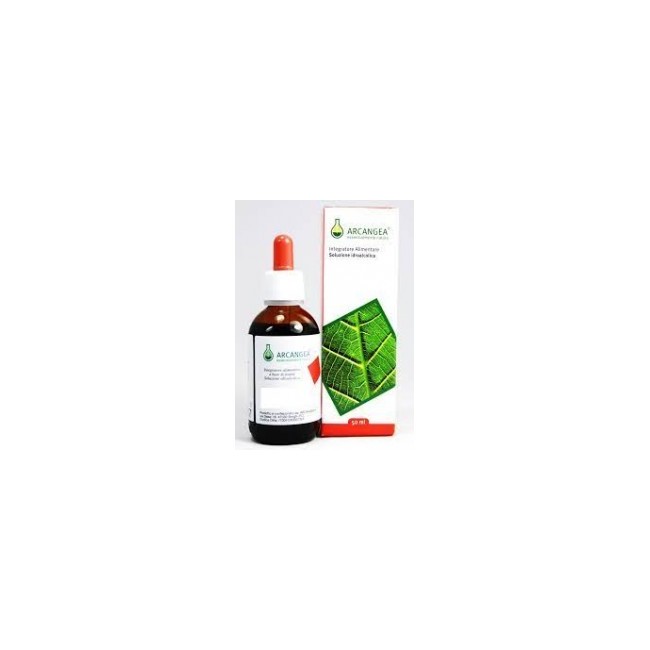 Arcangea Aesculus Hyppocastanum gemmoderivato gocce 50ml Arcangea Aesculus Hyppocastanum gemmoderivato gocce 50ml