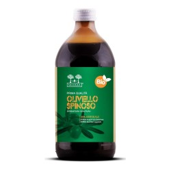 Salugea succo olivello bio 500 ml con funzioni digestive