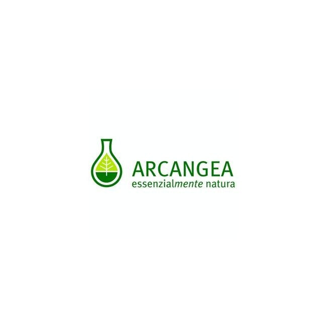 Arcangea Ulmus campestris gemmoderivato 33 Arcangea Ulmus campestris gemmoderivato 33