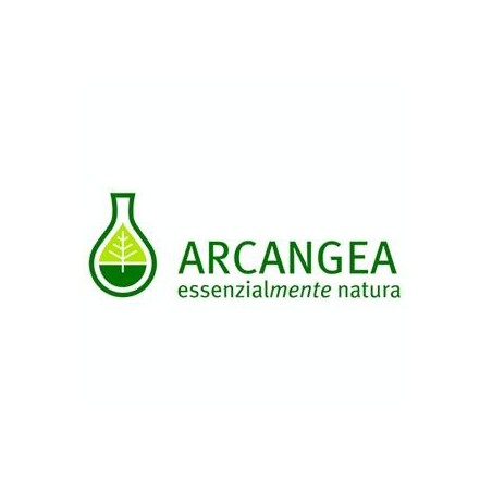 Arcangea Ulmus campestris gemmoderivato 33 Arcangea Ulmus campestris gemmoderivato 33