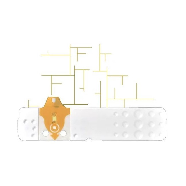 Bioseven Strisce misurazione glicemia linea d’oro 50 pezzi