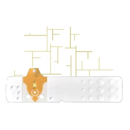 Bioseven Strisce misurazione glicemia linea d’oro 50 pezzi