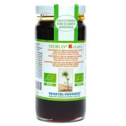 Vegetal Progress Merlin kanaria linfa palma biologica 170 g