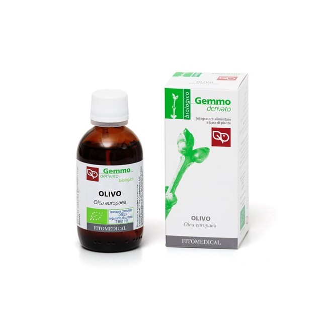 Fitomedical Olivo macerato glicerinato bio gocce 50 ml Fitomedical Olivo macerato glicerinato bio gocce 50 ml