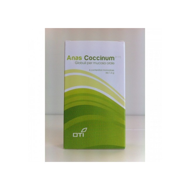 Holis 17 Anascoccinum 6 fiale globulari Holis 17 Anascoccinum 6 fiale globulari