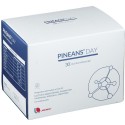 Pineans Day 30 Bustine Orosolubili Da 1800 Mg Pineans Day 30 Bustine Orosolubili Da 1800 Mg